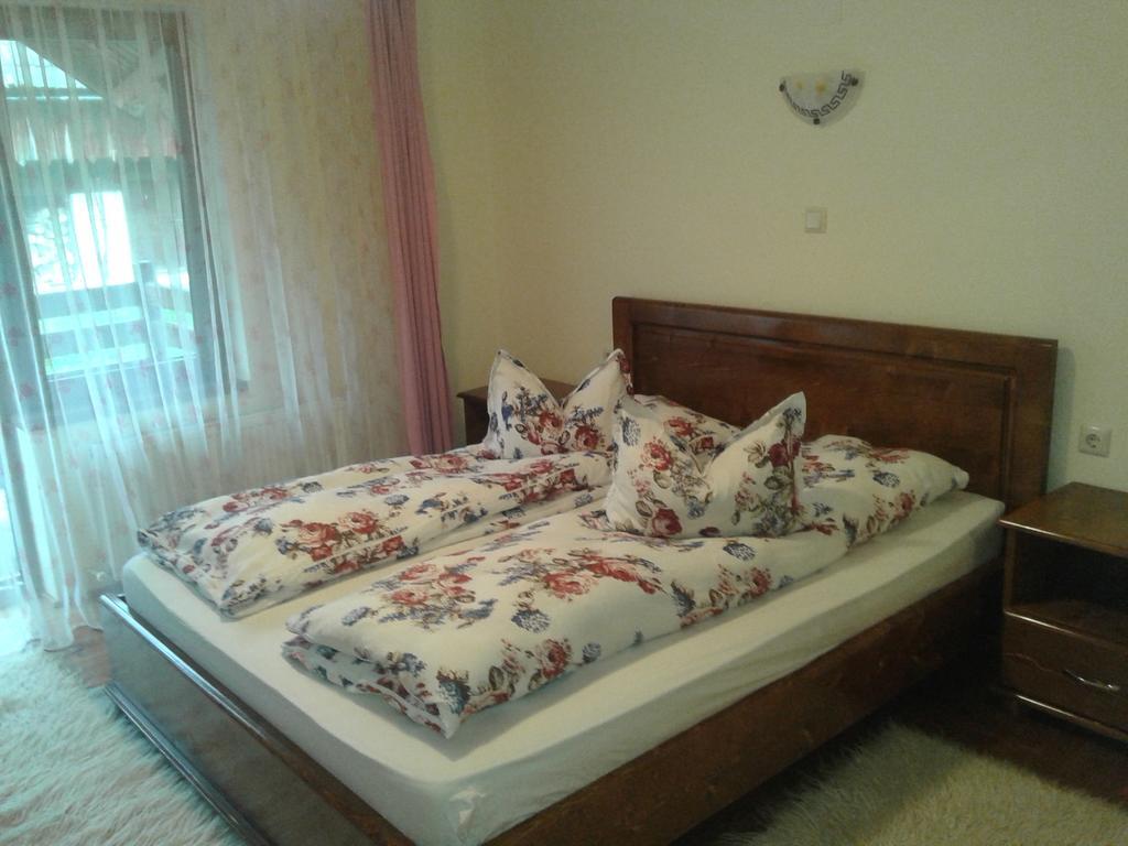 Pensiunea Sofy Arieseni Bagian luar foto
