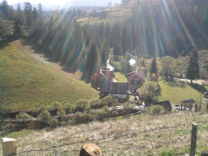 Pensiunea Sofy Arieseni Bagian luar foto
