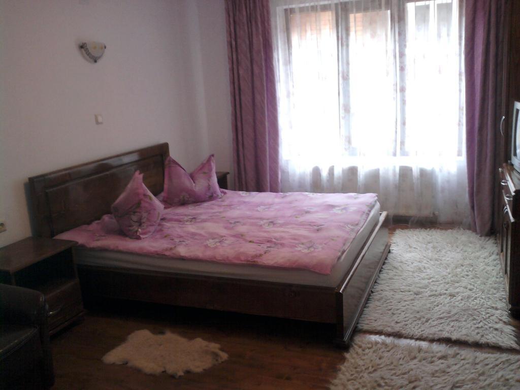 Pensiunea Sofy Arieseni Bagian luar foto